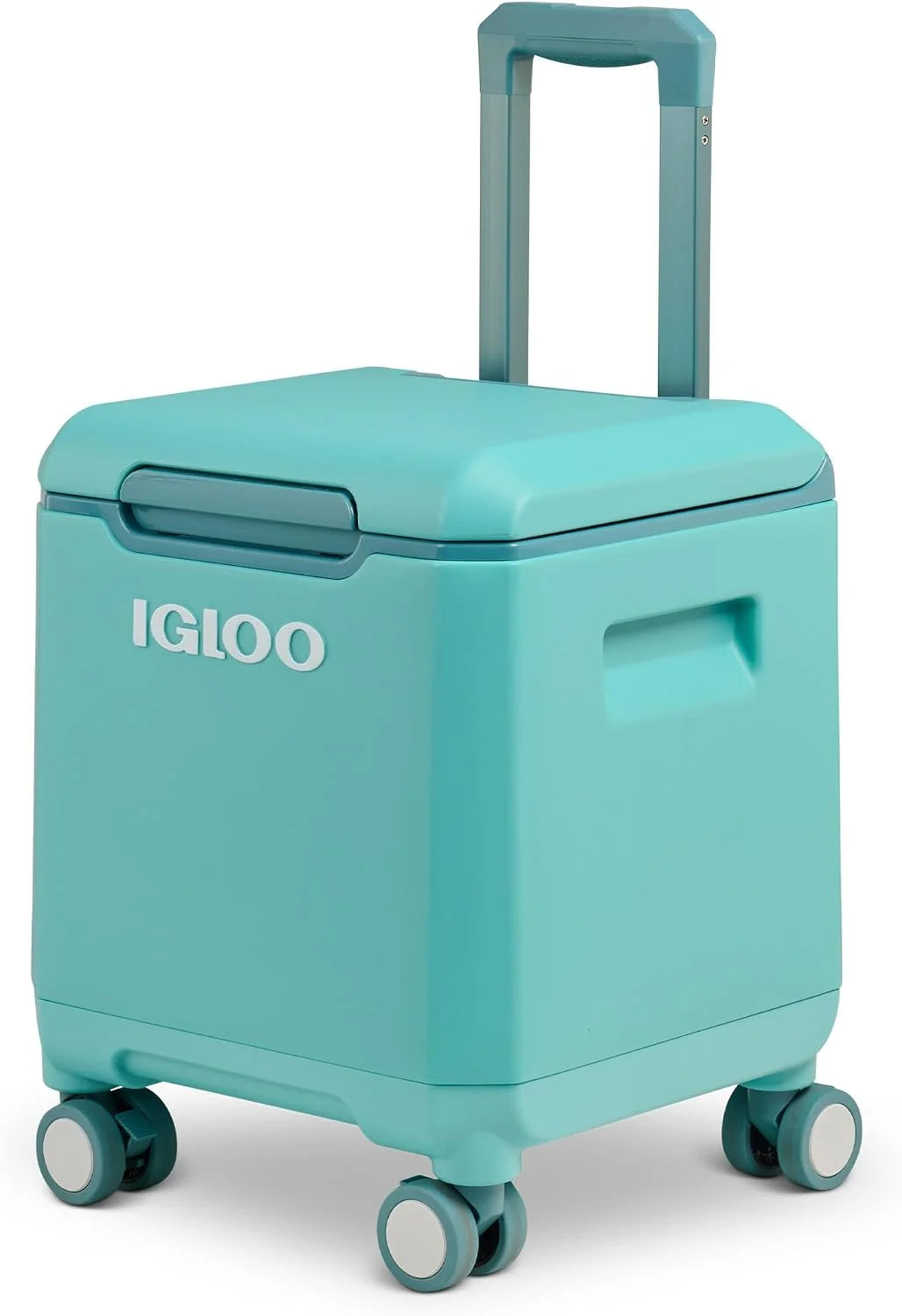 Lumi Discount Tag Along Too Coolers - Image 12