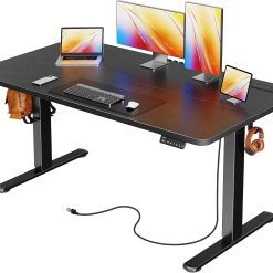 Lumi Discount Electric Standing Desk with Power Outlets and USB-C Port, 47 X 24 Inch Height Adjustable Desk