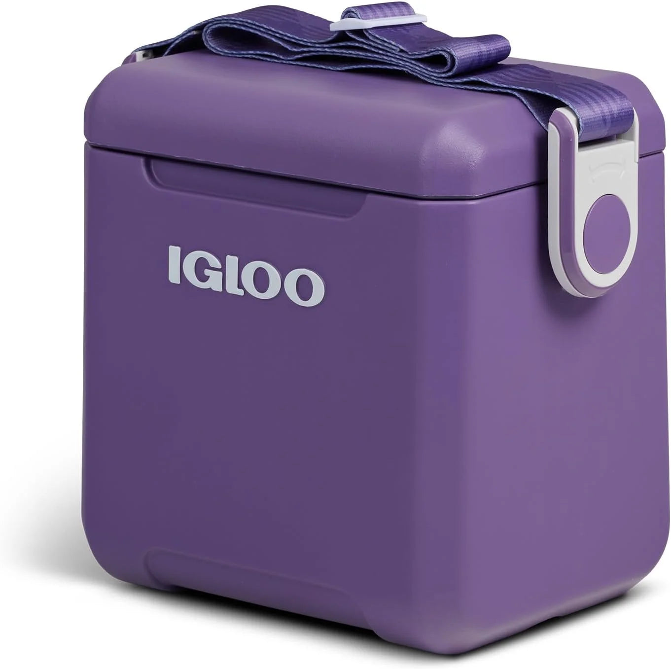 Lumi Discount Tag Along Too Coolers
